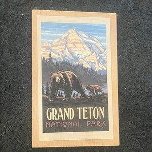 Grand Teton National Park Bear Art Print